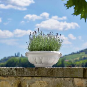 EDEN Bowl