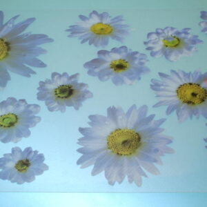 AMERICAN TASSELS FLEURS VIOLET