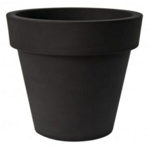 VASO IKON