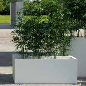 BOX KUBE
