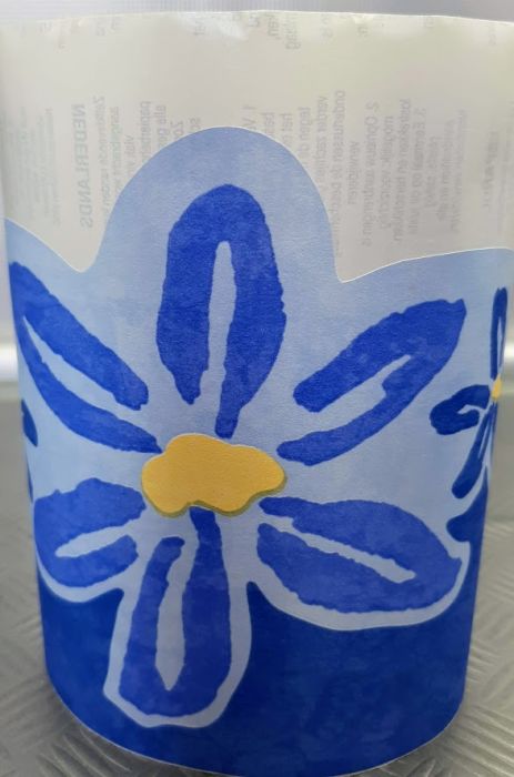 BORDURE ADHÉSIVE DAISY TRAIL BLEU