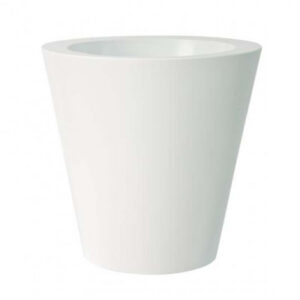 VASO  KUNO GLOSS