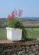 VASO QUADRO FOGLIE CM 40